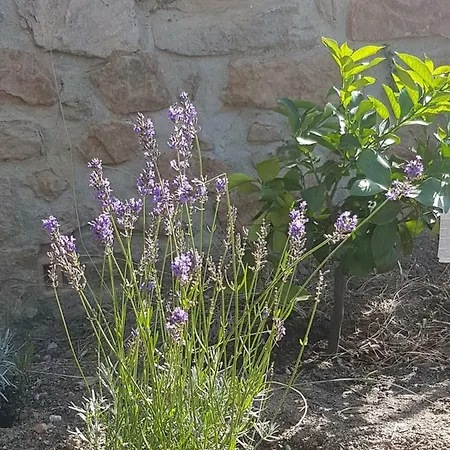 La Petite Bergerie